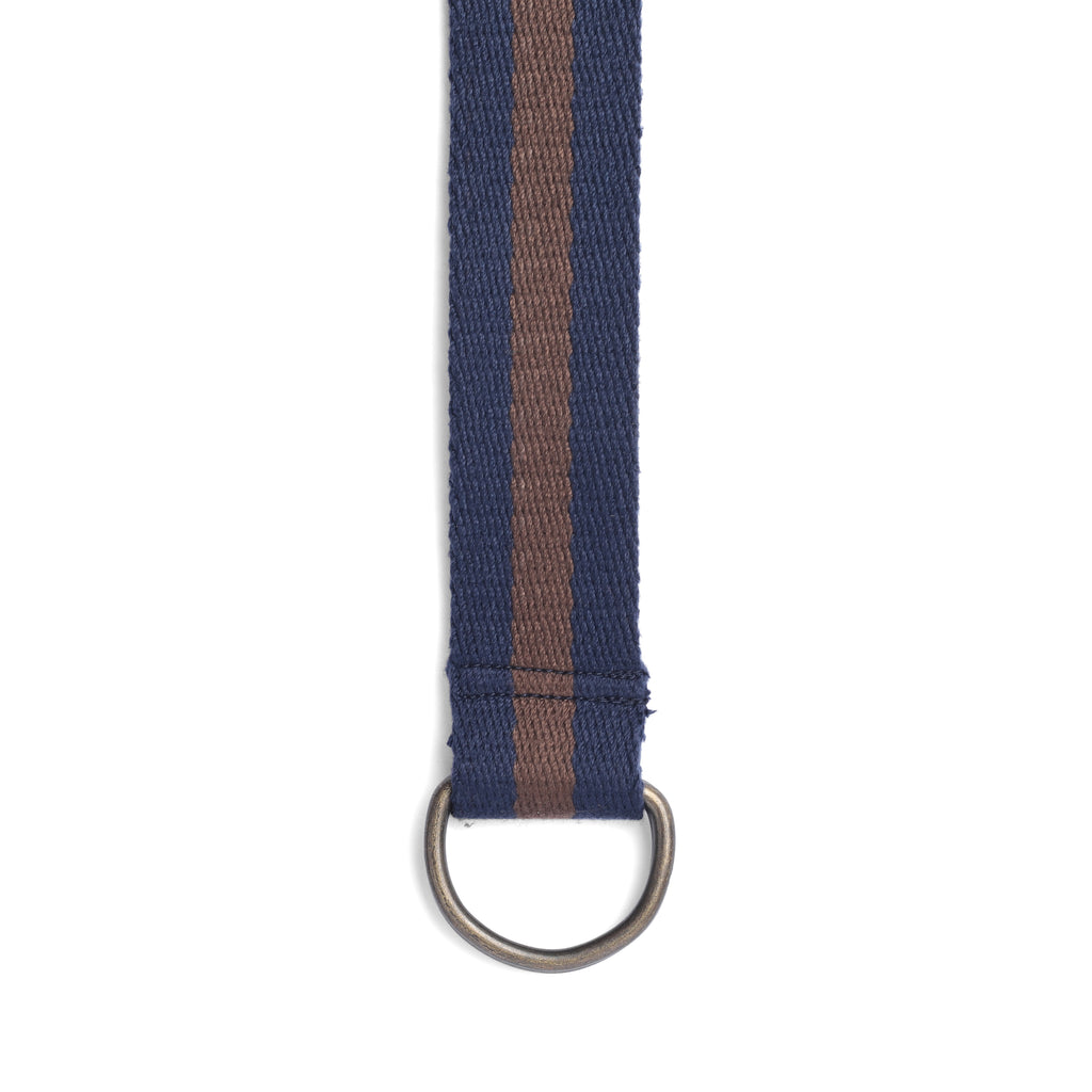Switch It Up: Striped Belt in Blue and Brown