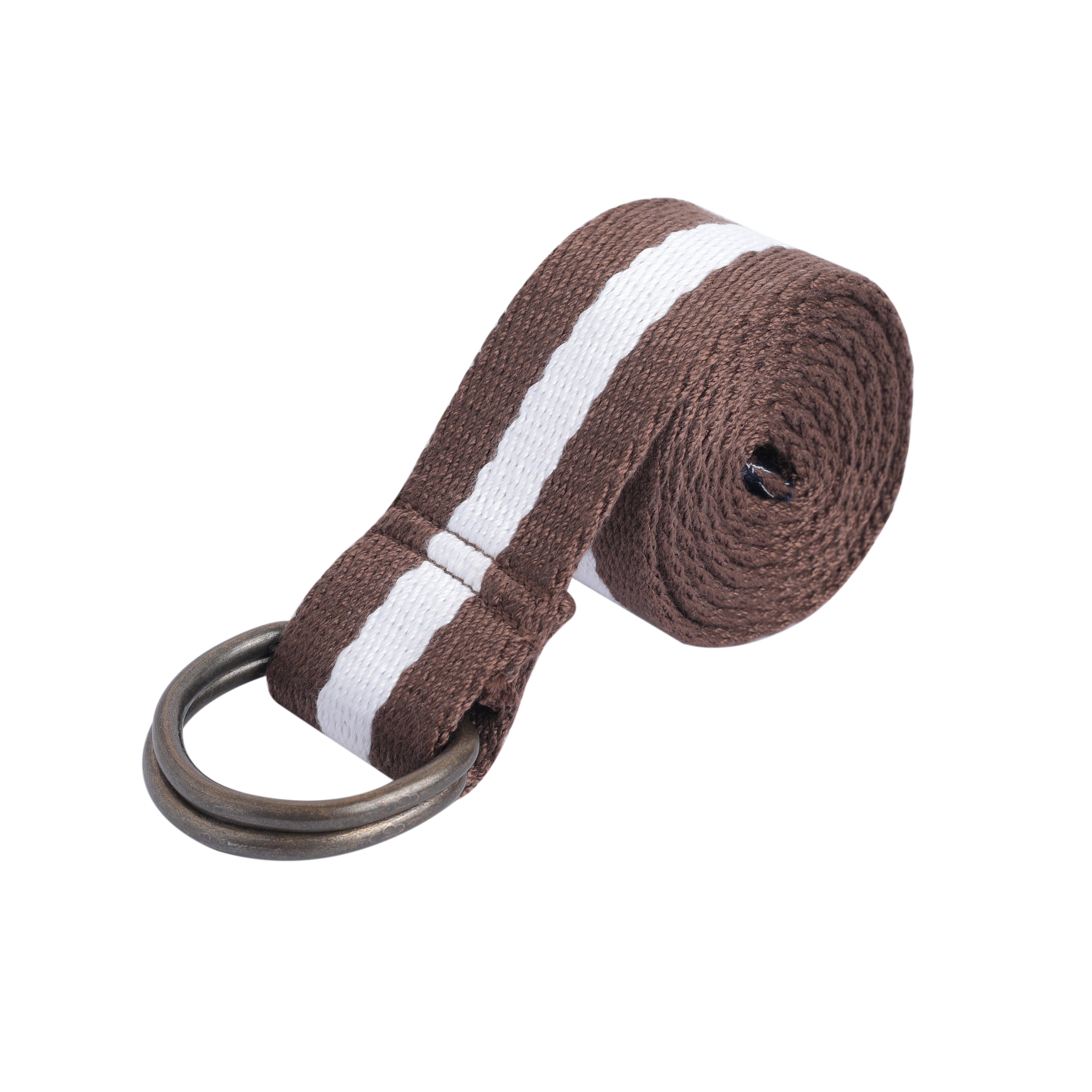 Style Switcher: Stripe Belt in Brown and White
