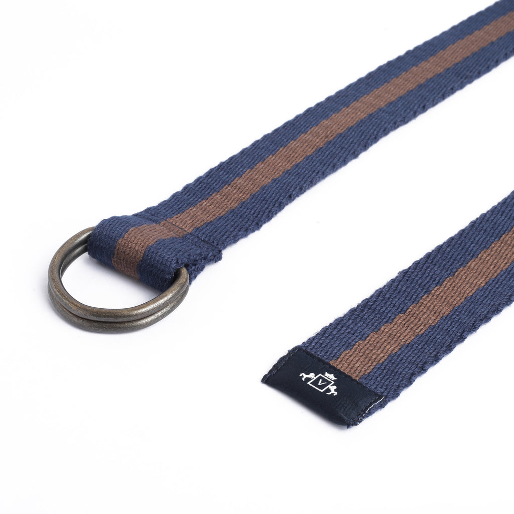 Switch It Up: Striped Belt in Blue and Brown
