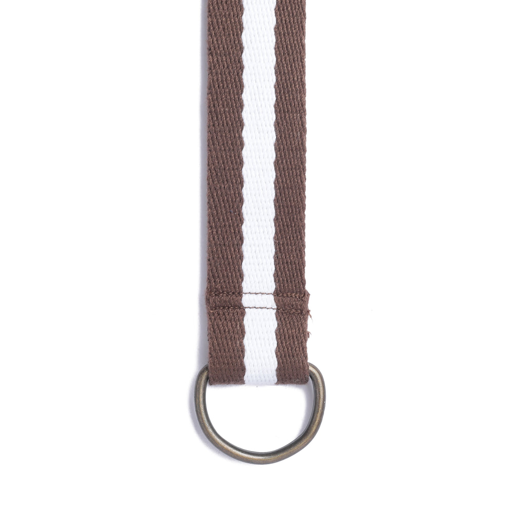 Style Switcher: Stripe Belt in Brown and White