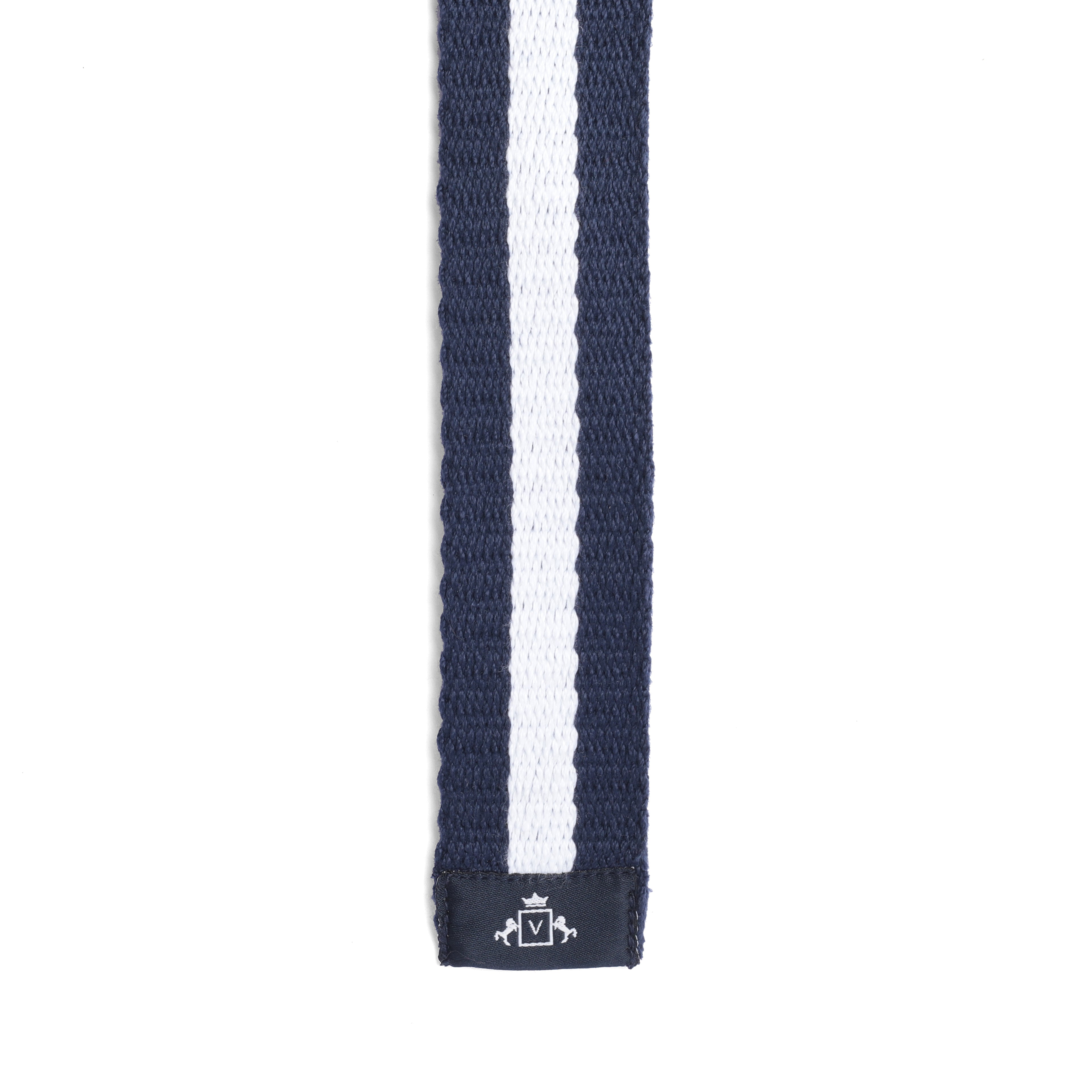 The Ultimate Striped Belt in Blue and White